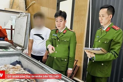 Xây hầm bí mật dưới lòng đất để nấu cao hổ