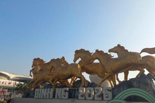 Quảng Ninh lần đầu tiên tổ chức Đại lộ hoa