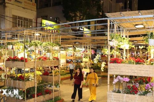 Cần Thơ: Khai mạc đường hoa nghệ thuật xuân Bính Ngọ 2026