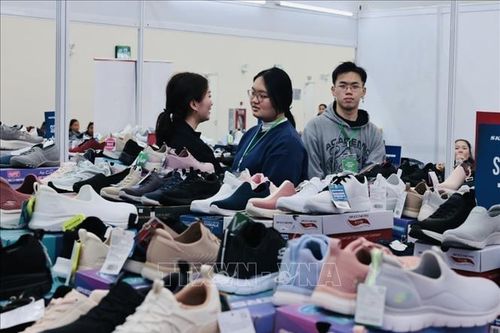 Những bài học kinh nghiệm từ Ai Cập và triển vọng hợp tác
