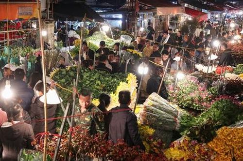 Đêm không ngủ tại chợ hoa Tết lớn nhất Hà Nội