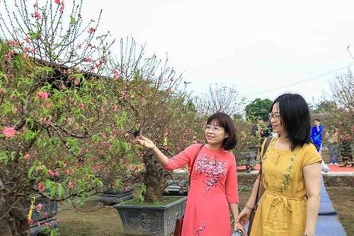 Tận hưởng Tết trọn vẹn, chuyên gia tim mạch cảnh báo 5 điều tránh đột quỵ
