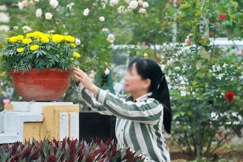 Nỗi day dứt và niềm tin của nữ phạm nhân gần 20 năm đón Tết trong trại giam