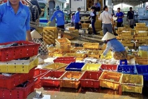 Ven biển Cần Thơ rộn ràng đón Tết, sinh kế biển thêm khởi sắc