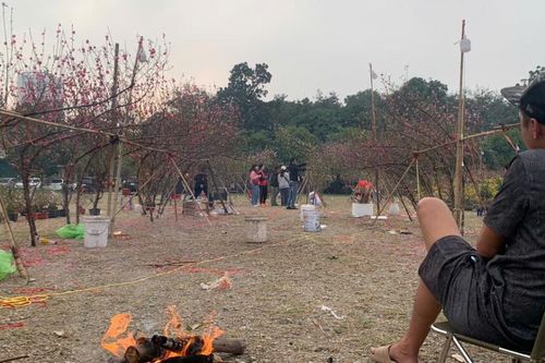 Người bán hoa Tết như 'ngồi trên đống lửa' vì vắng khách