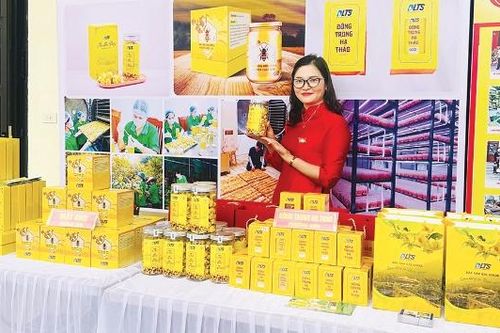 Xã Trường Sơn bứt phá từ nông - lâm nghiệp