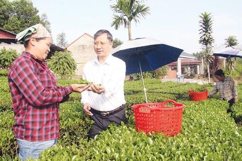 Xã Xuân Lương đánh thức tiềm năng du lịch sinh thái, cộng đồng