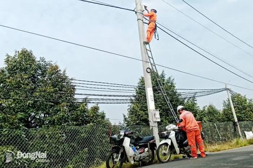 Niềm vui đón điện lưới quốc gia dịp Tết của người dân vùng sâu xã Tân Phú
