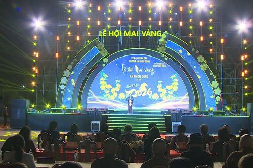 Khai mạc Lễ hội Mai vàng An Nhơn Đông năm 2026