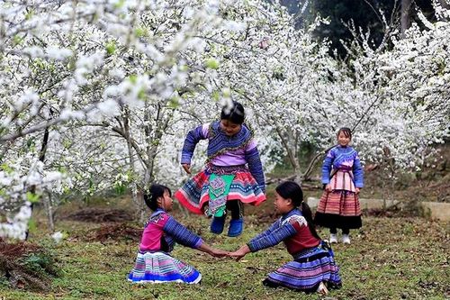 Hiện thực hóa nghị quyết bằng những đột phá cụ thể