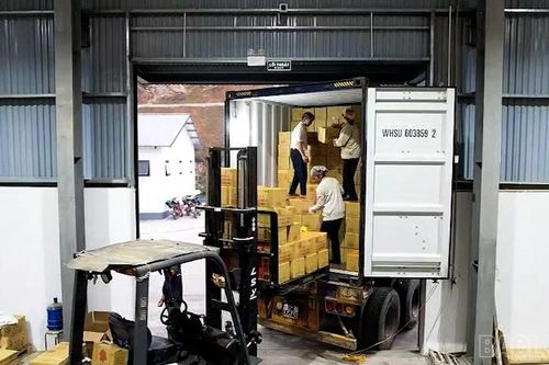 Từ lợi thế địa phương đến chuỗi giá trị xuất khẩu