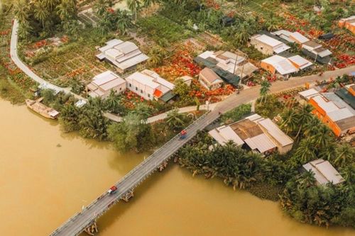 Vĩnh Long: Khám phá sắc xuân rực rỡ tại làng hoa giấy Phú Sơn dịp cận Tết 2026