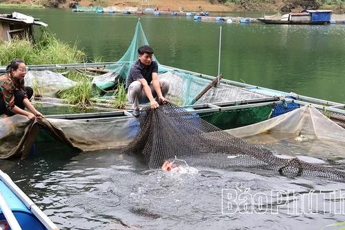 Mở lối thoát nghèo ở Tiền Phong