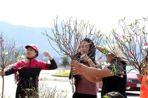 Sắc màu phiên chợ Tết