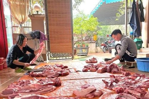 Đụng lợn ngày Tết - Nét văn hóa sum vầy của làng quê Việt