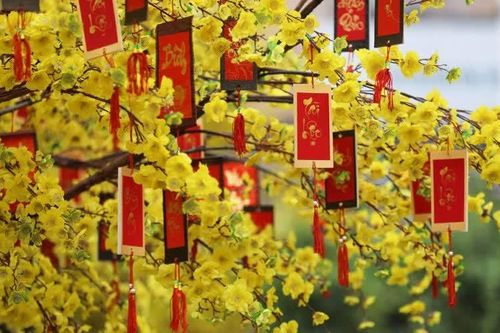 Triết lý sống từ vốn cổ