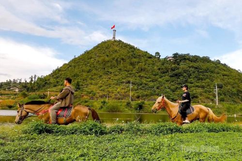 Dấu chân ngựa và hành trình gọi bản sắc
