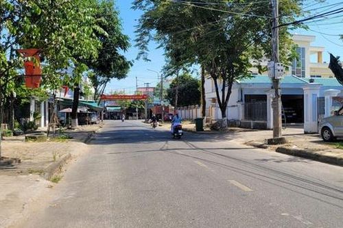 Quảng Ngãi: Cấp xã cấp giấy phép chặt hạ, dịch chuyển cây xanh