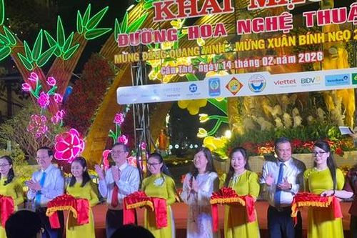 Đường hoa 310m rực rỡ khai hội xuân Bính Ngọ 2026 ở Cần Thơ