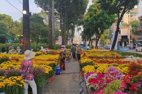 5 loài hoa nên cân nhắc khi trưng bày dịp Tết: Đẹp chưa chắc đã phù hợp cho không gian kín