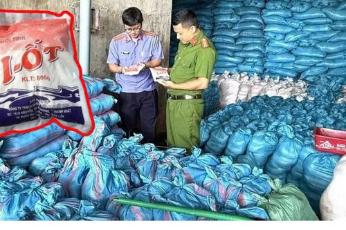Sản xuất 5 tấn muối I-ốt giả mỗi ngày: Hàng nghìn gia đình có thể đã ăn phải