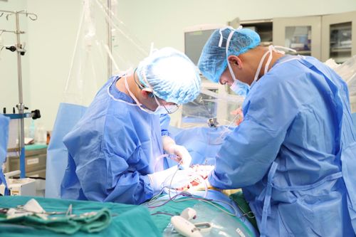 Phòng mổ Bệnh viện 108 sáng đèn ngày 27 Tết, ghép gan cứu người