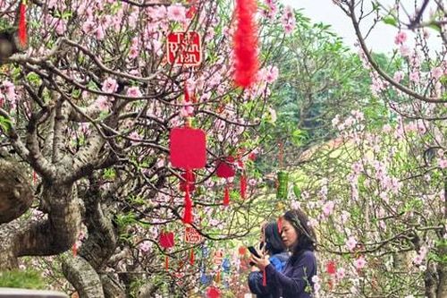 Hà Nội sáng sớm và đêm có mưa nhỏ, trời rét