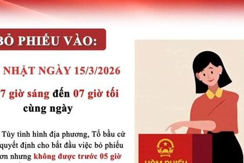 Một số quy định nguyên tắc, trình tự bỏ phiếu bầu cử