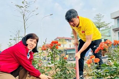 Nam Phù vệ sinh môi trường, vun trồng sắc xuân