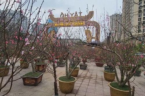 Chợ hoa Tết Tây Hồ: Đường phố thông thoáng, tiểu thương buôn bán trong trật tự
