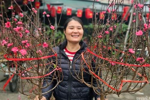 Sắc màu Tết quê giữa lòng Thủ đô