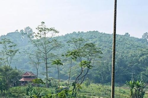 Tìm về chốn 'Bầm ơi'