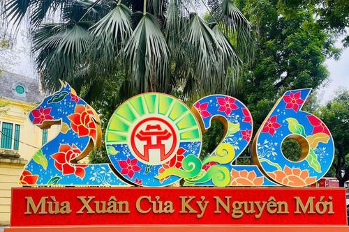 Hà Nội rực rỡ sắc màu những ngày cận Tết