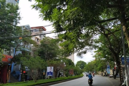 Người dân Hà Nội lưu ý gì khi đi qua đường Lạc Long Quân dịp Tết?