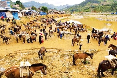Du Xuân, ngắm ngựa vùng cao