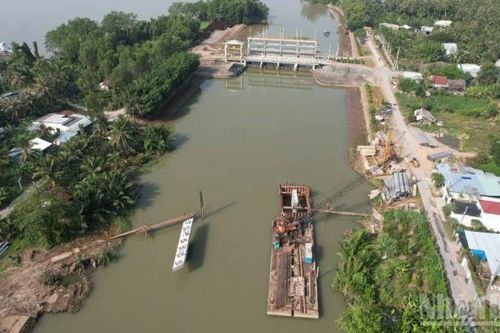 Mặn xâm nhập sâu vào nội đồng ở Đồng Tháp