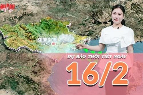 Dự báo thời tiết đêm nay và ngày mai 16/2/2026: Mưa Xuân mùng 1 Tết