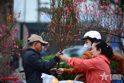 Người Hà Nội hối hả 'mang' Tết về nhà