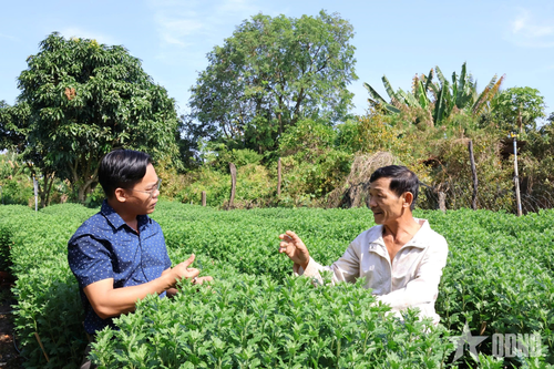 Đắk Lắk: Đất cằn 'nở hoa' nhờ tư duy làm kinh tế vụ Tết