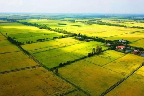 Trong tháng 6, kết nối liên thông dữ liệu đất đai với cơ quan thuế