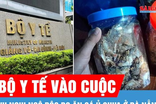 Bộ Y tế vào cuộc vụ nghi ngộ độc sau ăn cá ủ chua ở Đà Nẵng