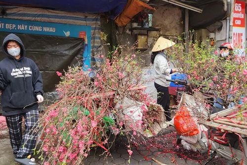 Hà Nội 28 tháng Chạp: Phố thưa người, nắng ấm, chợ hoa rực sắc xuân