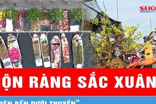 Rộn ràng sắc xuân 'Trên bến dưới thuyền' Tết Bính Ngọ 2026