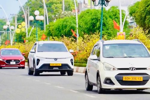 Ấn tượng đường hoa mai vàng khoe sắc rực rỡ ở TPHCM