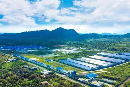 Vũ Mạnh Hùng: Doanh nhân tiên phong chuyển đổi số