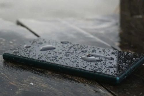 Một phút sai lầm, mất cả chục triệu đồng