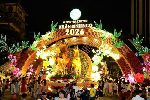 Cần Thơ khai mạc Đường hoa xuân Bính Ngọ 2026