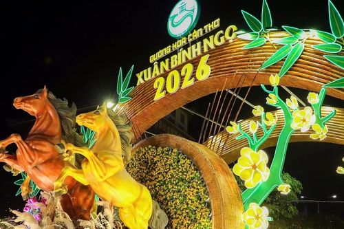 Tam mã phi nước đại nổi bật tại đường hoa xuân Cần Thơ