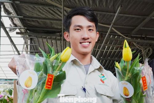 Người dân Đà Nẵng bị hoa tulip xứ lạnh mê hoặc