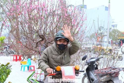 Ngược xuôi những chuyến xe chở hoa, cây cảnh Tết